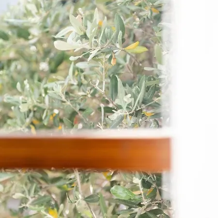 De La Fossette Hotel