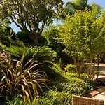 Hotel De La Fossette Le Lavandou