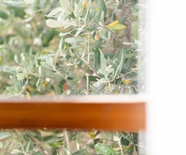 De La Fossette Szálloda