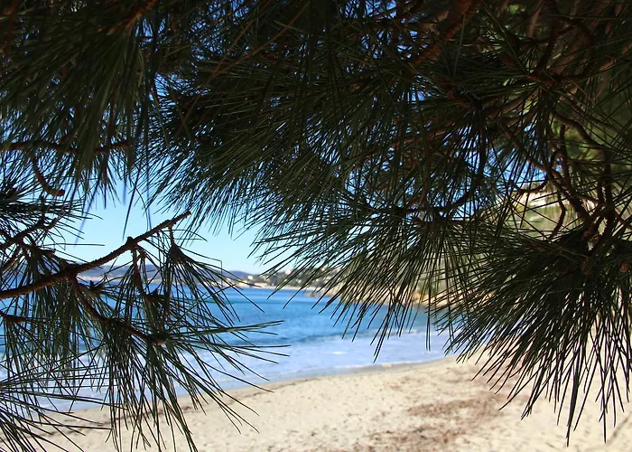 De La Fossette 4* Le Lavandou